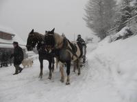 die letzten haben es auch bis zur Hütte geschafft