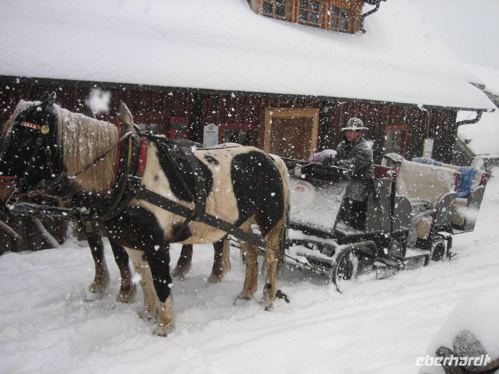 die Schlitten und Pferde sind bereit zur Talfahrt