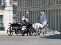 Droschkenfahrt in Wien