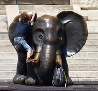 vorm Naturhistorischen Museum