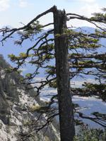 Villacher Alpenstrasse (12)