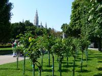 Volksgarten in Wien