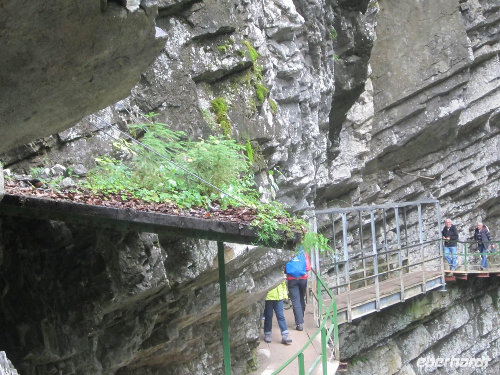 Breitachklamm