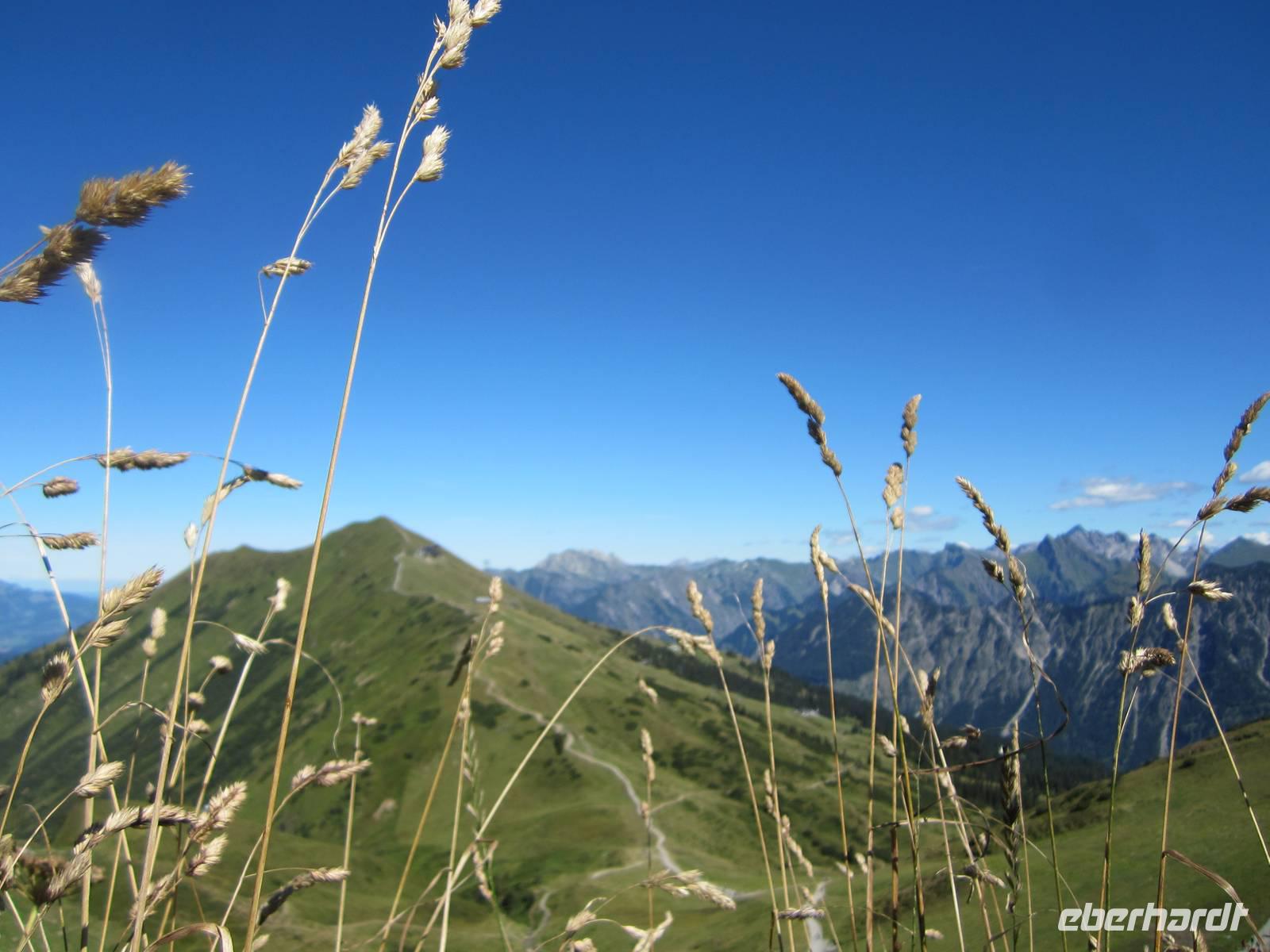 Blick von der Kanzelwand