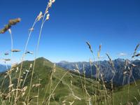 Blick von der Kanzelwand