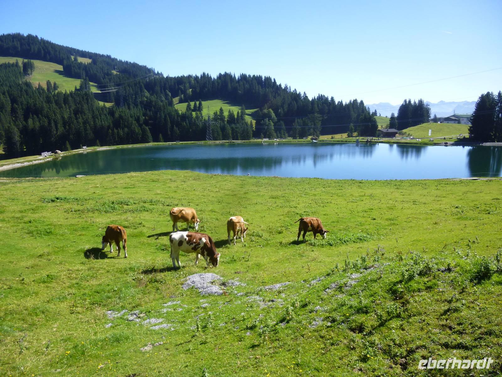 Wanderung zum Filzalmsee Brixen im Thale/Hochbrixen
