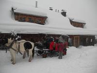 bald geht es wieder bergab..., aufsitzen und fest einpacken