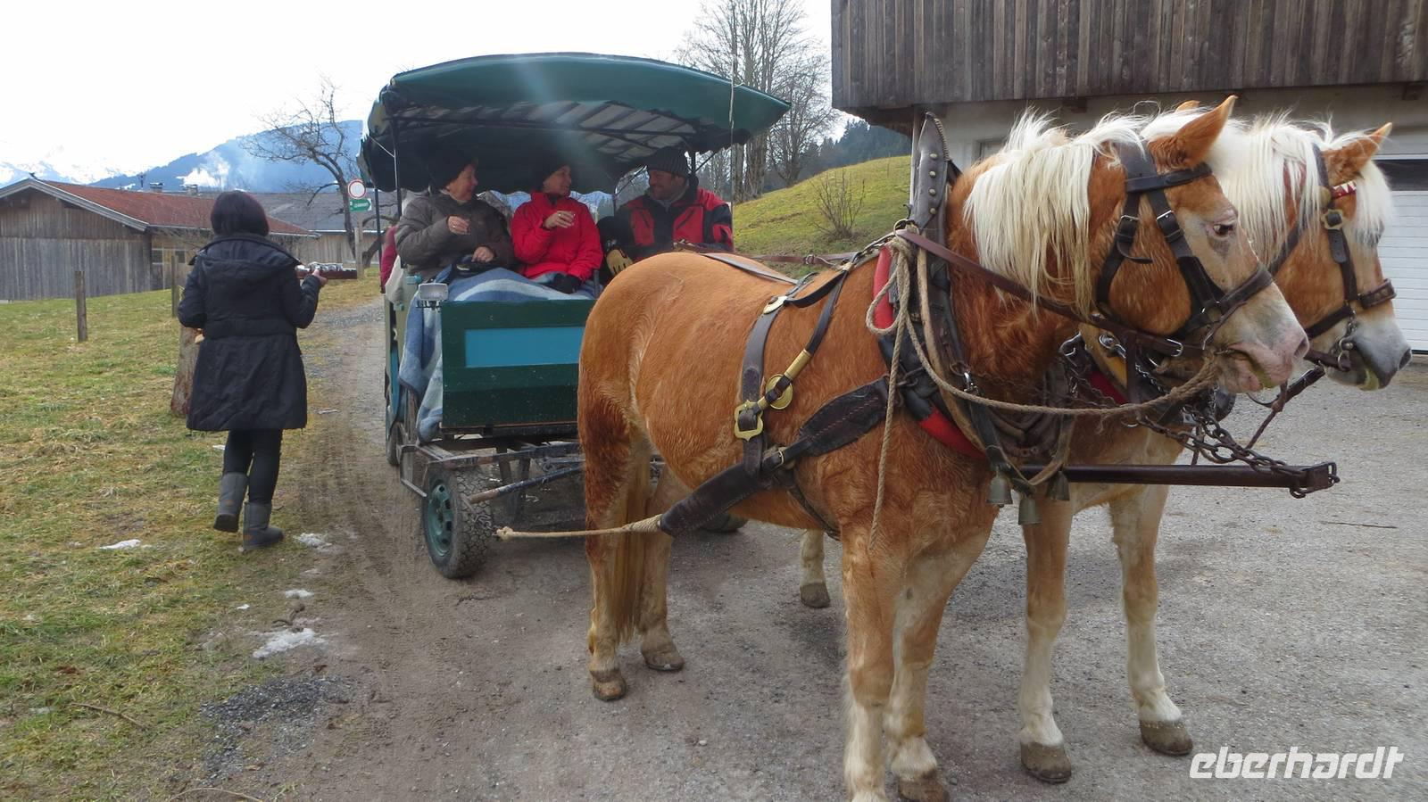 Eberhardt TRAVEL Winterreise in den Kitzbueheler Alpen/Brixental/Tirol - Pferdekutschfahrt in die Wildschoenau
