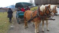 Eberhardt TRAVEL Winterreise in den Kitzbueheler Alpen/Brixental/Tirol - Pferdekutschfahrt in die Wildschoenau