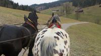 Eberhardt TRAVEL Winterreise in den Kitzbueheler Alpen/Brixental/Tirol - Pferdekutschfahrt in die Wildschoenau