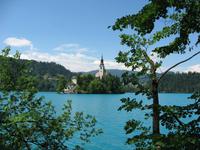Bled 7