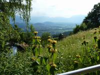 Blick vom Hotel Viktor