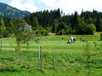 Golfplatz in Westendorf