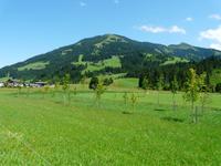 Hausberg von Westendorf