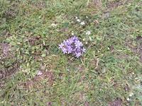 Für die Blumenwelt hatten wir am letzten Tag Zeit