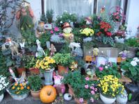 Alles ist schon herbstlich geschmückt am Hotel