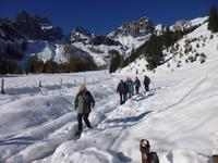 Dachstein_Oberhofalm _Wandergruppe (2)