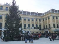 Am Schloss Schönbrunn