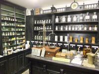 Im Heimatmuseum Traiskirchen