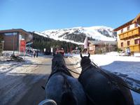 Und die Pferdchen leisten gute Arbeit, sie ziehen uns durch den Ort ....