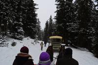036 Katschberg, Pferdeschlittenfahrt zur Pritzhütte