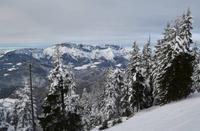 106 Berchtesgaden, Rossfeldpanoramastraße, Untersberg