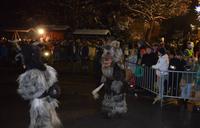 137 Pfarrwerfen, Perchtenlauf