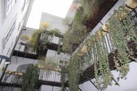 Bummel durch die Gassen von Wien