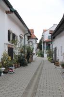 Hofgasse in Mörbisch