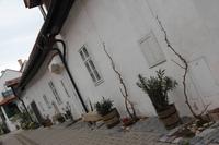 Hofgasse in Mörbisch