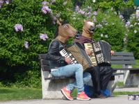 Stadtmusikanten in Wien