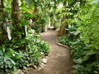 Schmettelingshaus im Burggarten