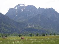 Schloss Neuschwanstein mit Tegelberg