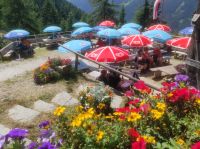 Almhütte 
