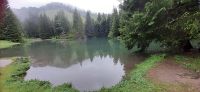 Almsee