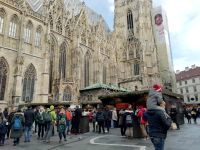 Am Stephansdom 