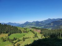 Aschinger Alm im Hintergrund