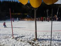 Auch die Kleinen stehen auf Skiern.