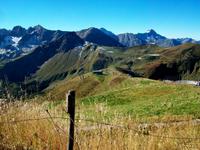 Auf dem Fellhorn