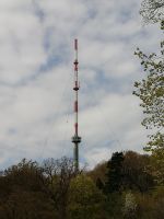 Auf dem Kahlenberg 