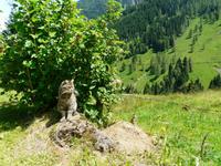Auf der Labalm