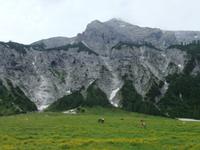 Auf der Ursprungalm