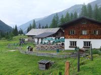 Auf der Vögeialm