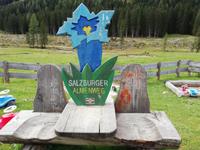 Auf der Vögeialm