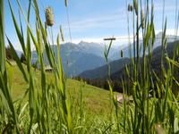 Ausblick