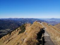 Aussichtsplattform 