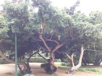 Baden Kurpark 5