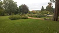 Baden bei Wien, Stadtführung, Rosarium