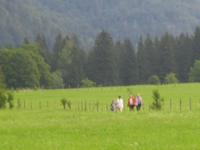 Beim Wandern
