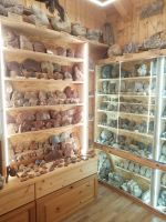 Besichtigung des Fossilienmuseums in Rußbach
